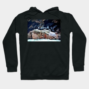 Pérou - Paracas - Les îles Ballestas Hoodie